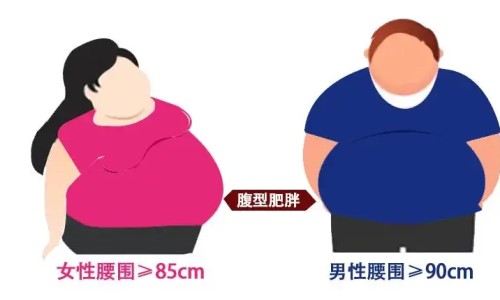 金钱草颗粒说明书图片及价格-金钱草颗粒的功效与作用中用法禁忌宇网-金钱草颗粒功效与作用及禁忌,中国金钱草颗粒说明书图片网站
